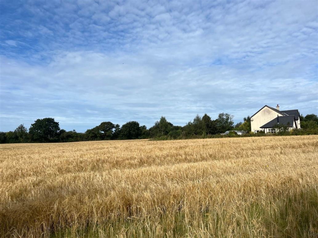 Ballyeden (C. 0.75 Acre Site), Camolin, County Wexford