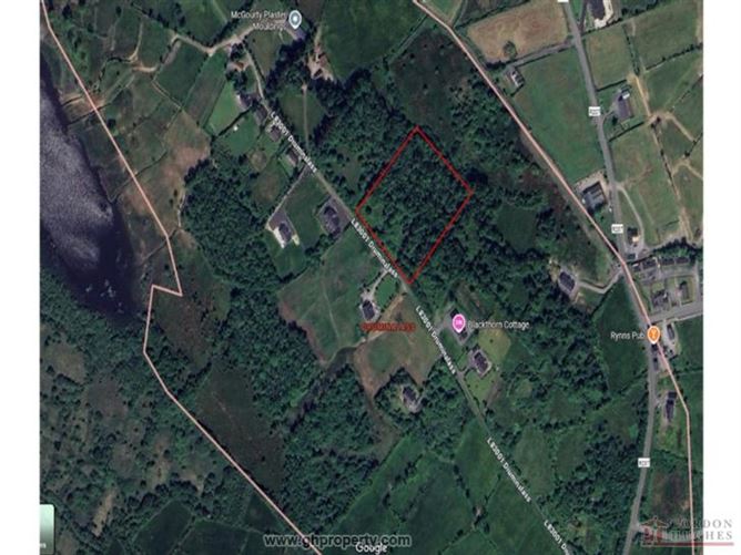 Druminalass, Balinaglera, Co. Leitrim, LMBALLINAGL
