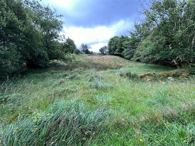0.71 Acre Land Folio KY33838, Derrynafinna, Clonkeen, Killarney, Co