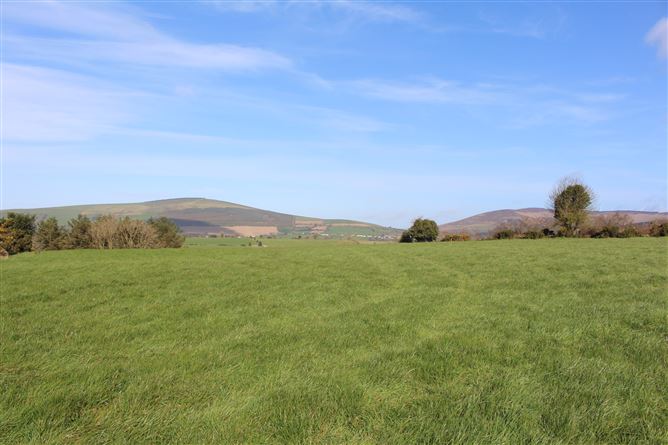 Coolroe, Tinahely, Carnew, Wicklow