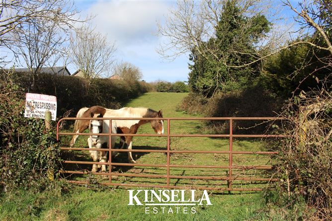 Coolroe, Tinahely, Carnew, Wicklow