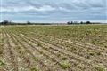 Property image of Land for Sale, The Village, Lixnaw, Kerry