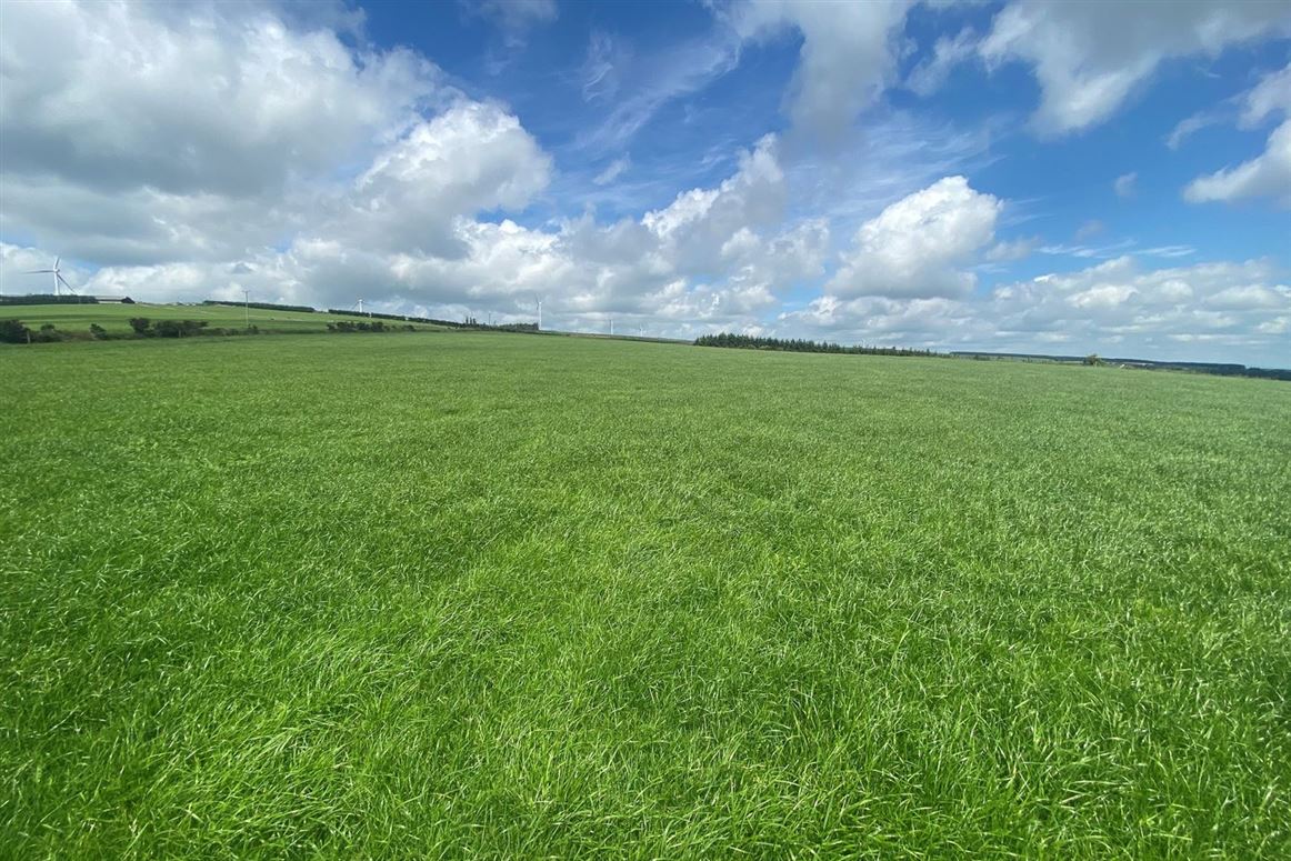 Meenachoney, Donoughmore, Co. Cork
