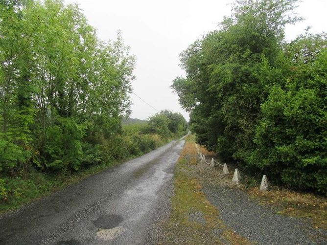 Carrignagower, Lismore, County Waterford