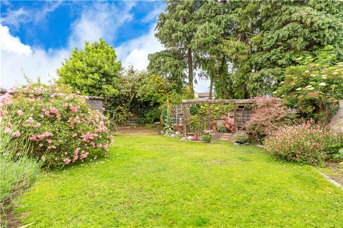 46 Wilson Road, Mount Merrion