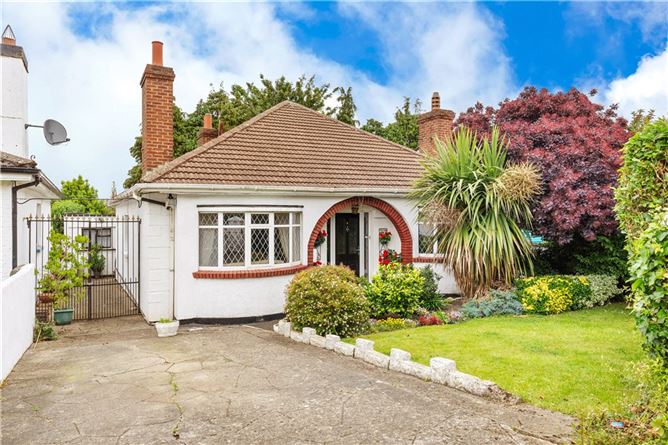 46 Wilson Road, Mount Merrion