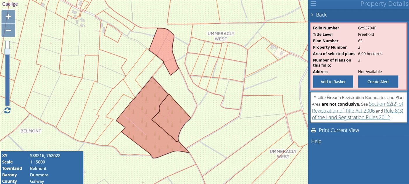 17.27 Acres Of Forestry In Milltown, Milltown, Tuam, Co. Galway