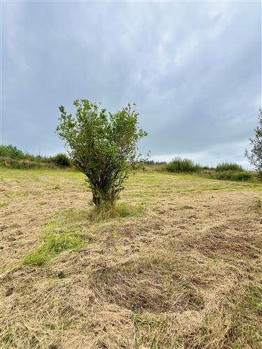 Photo 34 of 36 — Lough Bo Crossroads, Riverstown, Sligo