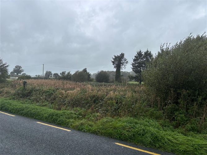 0.96 Acre Site, Harristown,, Graiguemanagh,, Co. Carlow