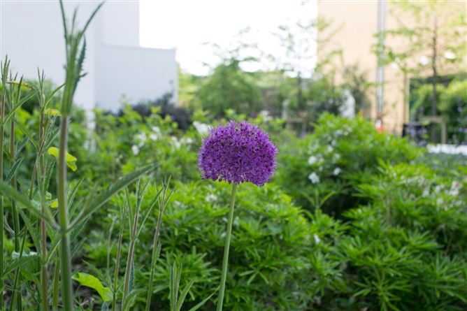 Apartment 12, One Springfield Park, Foxrock, Dublin 18