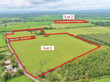 Maidstown, Dromin, Kilmallock, Co. Limerick