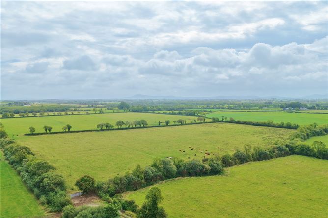 Maidstown, Dromin, Kilmallock, Co. Limerick