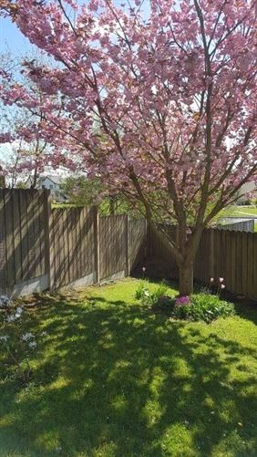 7 Shannon Cove, Dromod, Co. Leitrim
