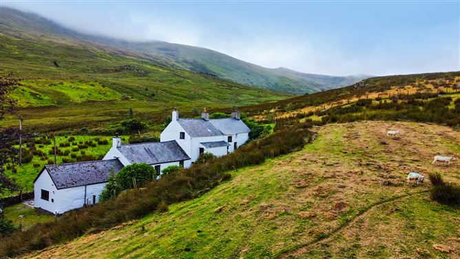 Cwm,Capel Curig, Conwy, Wales