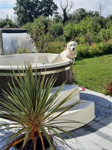 https://photos-a.propertyimages.ie/media/8/0/2/5005208/efb520ee-295a-4de6-a745-31257385b6e3_l.jpg