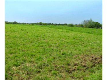 Main image of Derrygarran Bridge, Clonbulloge, Co. Offaly - approx. 6.90 Hectares (17 acres)