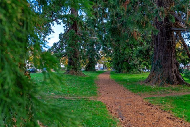 Room ensuite, Dublin