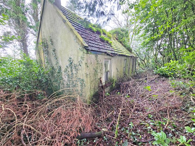 Garryvurragha, Kilbehenny, Limerick