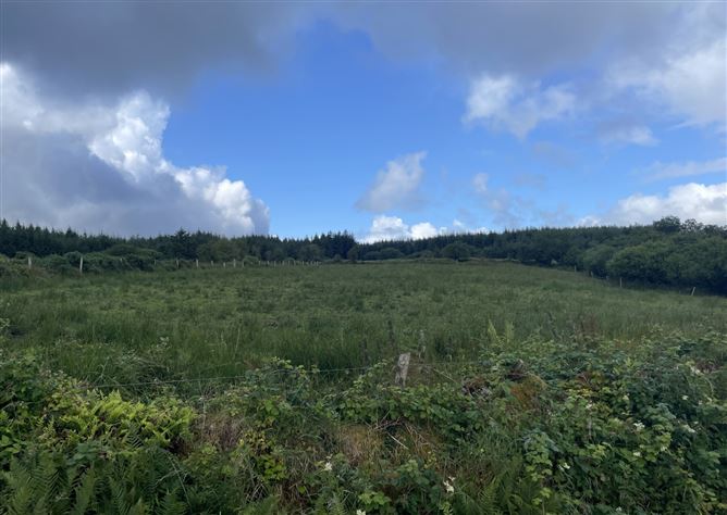 Airyhill, Kylebrack, Loughrea, Co. Galway