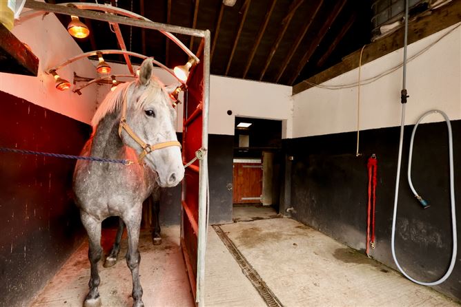 Creaghduff Stables, Coosan, Athlone, Westmeath