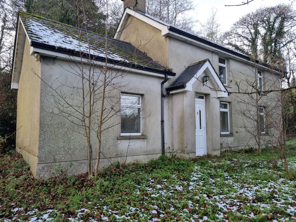House and lands at Lisdrumcleve Latton, Castleblayney, Monaghan