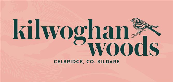 Kilwoghan Woods, Celbridge, Co. Kildare.