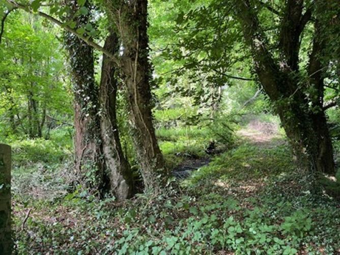 Brownsbarn, Thomastown, Co. Kilkenny