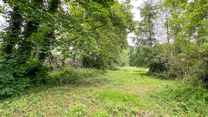 Brownsbarn, Thomastown, Co. Kilkenny
