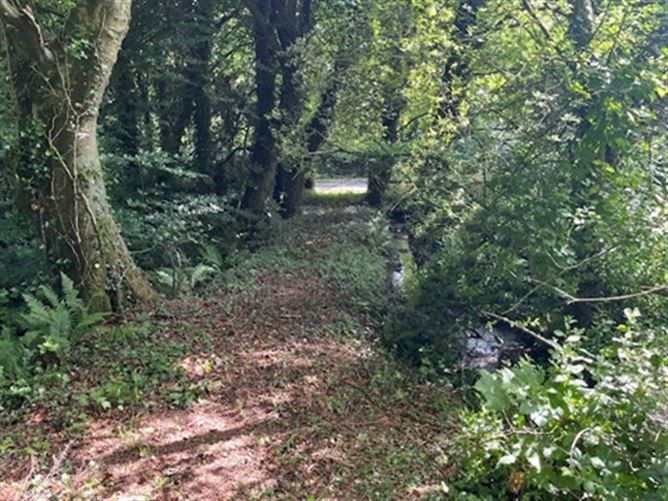 Brownsbarn, Thomastown, Co. Kilkenny