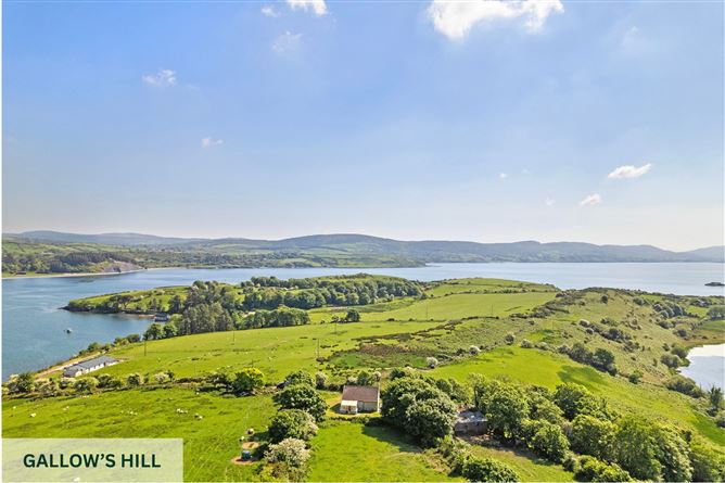 Whiddy Island, Bantry, County Cork