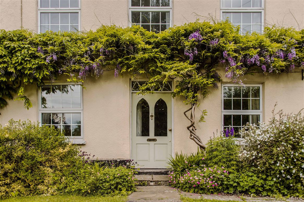 Tea, Flowers & Trees,Pittcourt, Gloucestershire, United Kingdom