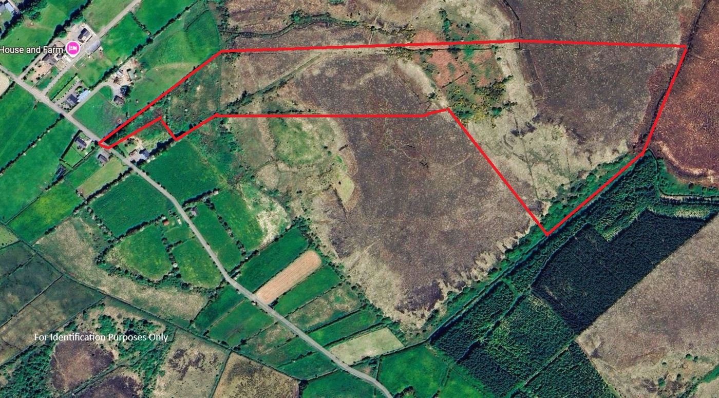 Lands Cloongoonagh, Ballyhaunis, Mayo