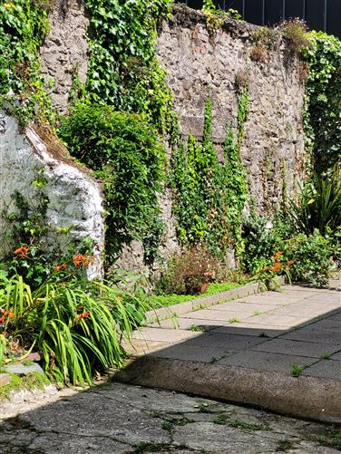 93 North Main Street, Youghal, East Cork