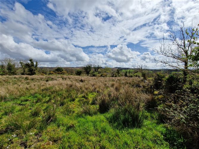 Larganmore, Foxford, Co. Mayo