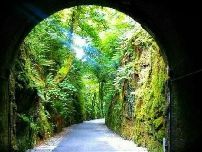 Monang, Dungarvan, Waterford