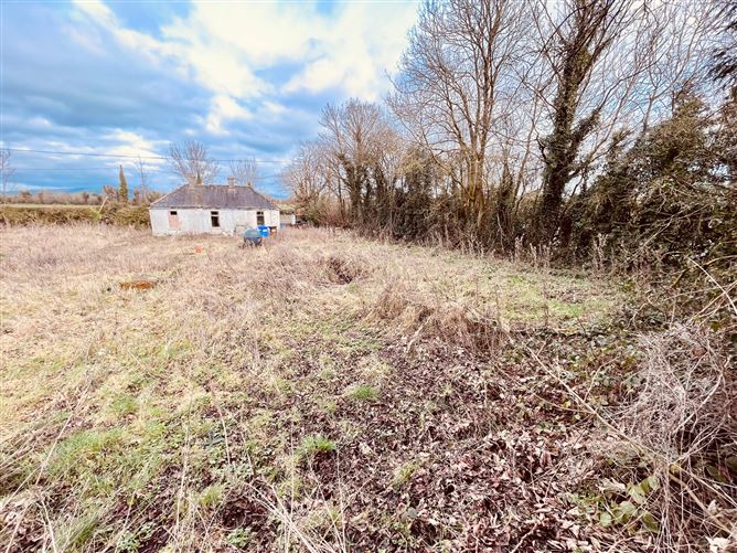 Ballylahiff, Oola, Limerick