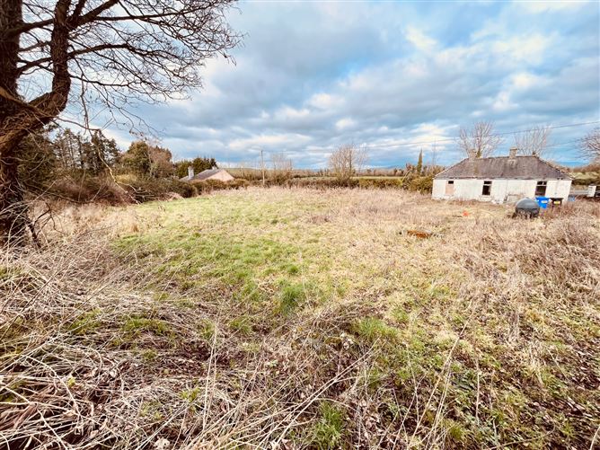 Ballylahiff, Oola, Limerick