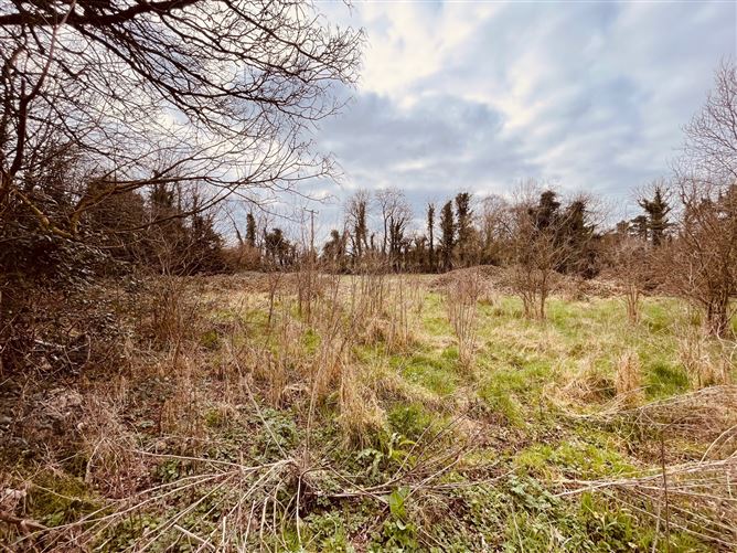 Ballylahiff, Oola, Limerick