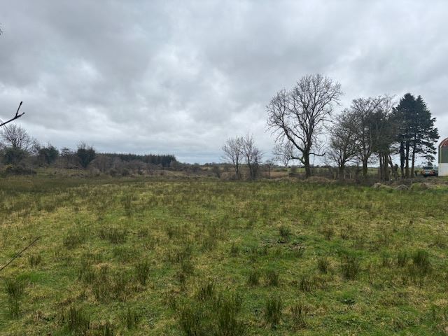 Island, Ballyhaunis, Mayo