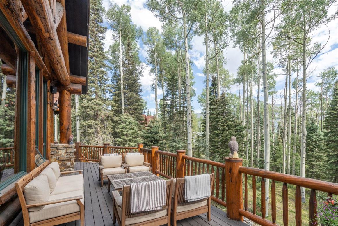 Among the Aspens,Mountain Village,Colorado,USA
