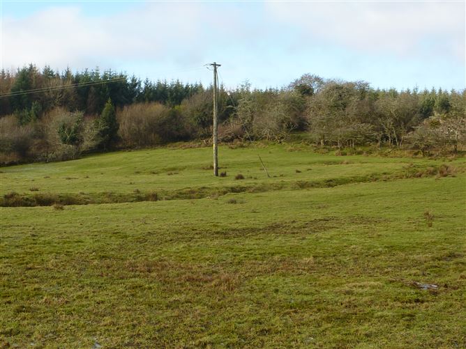 House and 7.4 Acres Of Land, Ballyteige, Glenhest, Newport, Co. Mayo