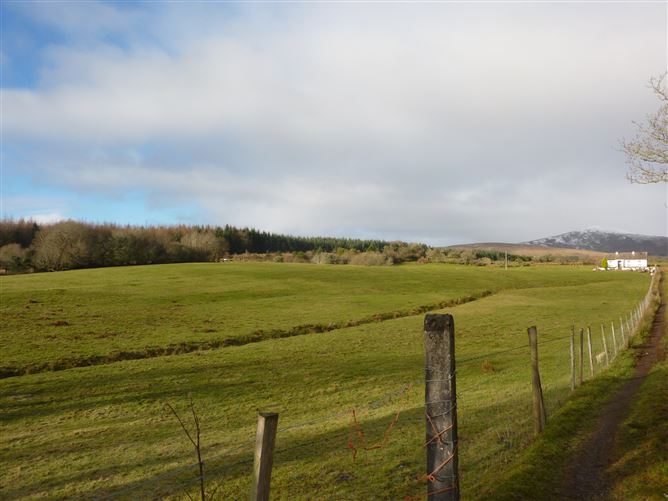 House and 7.4 Acres Of Land, Ballyteige, Glenhest, Newport, Co. Mayo