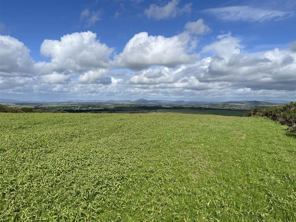 Ballineroad (C. 5.6 Acres), Oulart, Gorey, County Wexford
