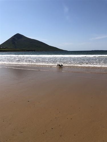 Photo 11 of 17 — Croagh Patrick View, Westport, Co. Mayo