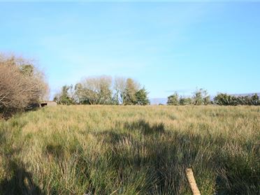 Image for Lislea, Arigna, Co. Roscommon