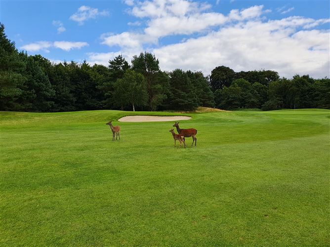 32 Tulfarris Village, Blessington, Wicklow