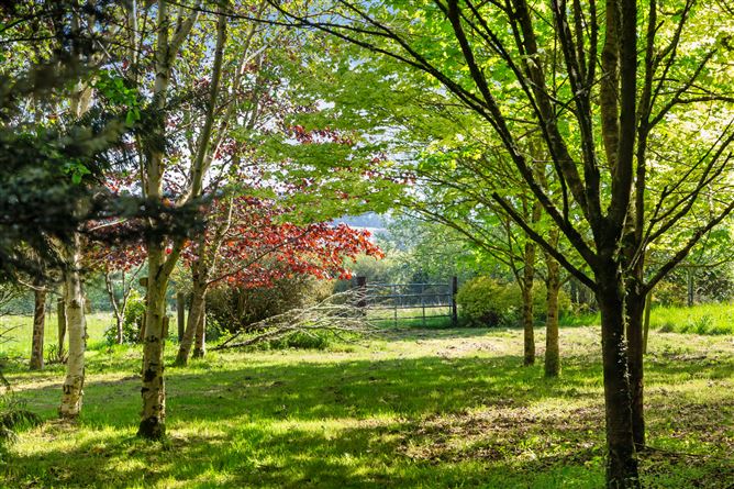 Whitegables, Moneystown North, Roundwood, Wicklow