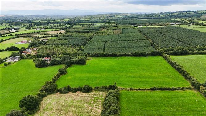 Lands Rossmore, Cashel, Tipperary