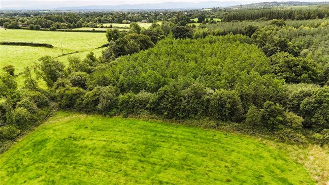 Lands Rossmore, Cashel, Tipperary