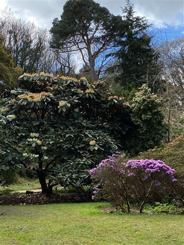 101A The Park, Clon Brugh, Aiken's Village, Sandyford, Dublin 18